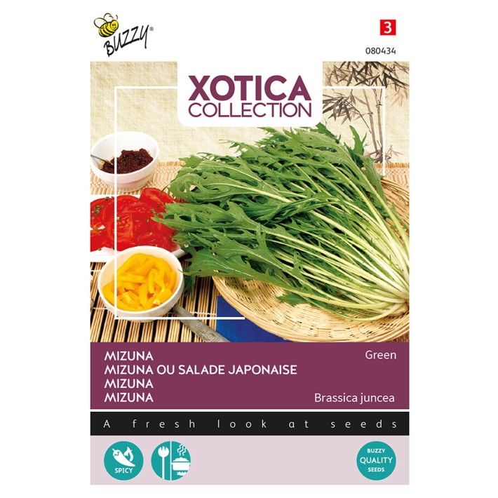 Buzzy® Xotica Mizuna Chou salade japonaise
