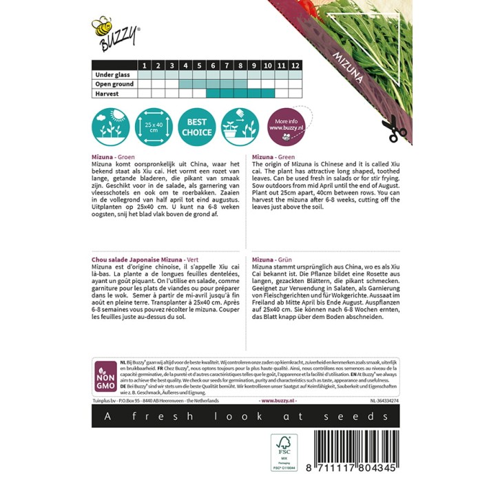 Buzzy® Xotica Mizuna Chou salade japonaise