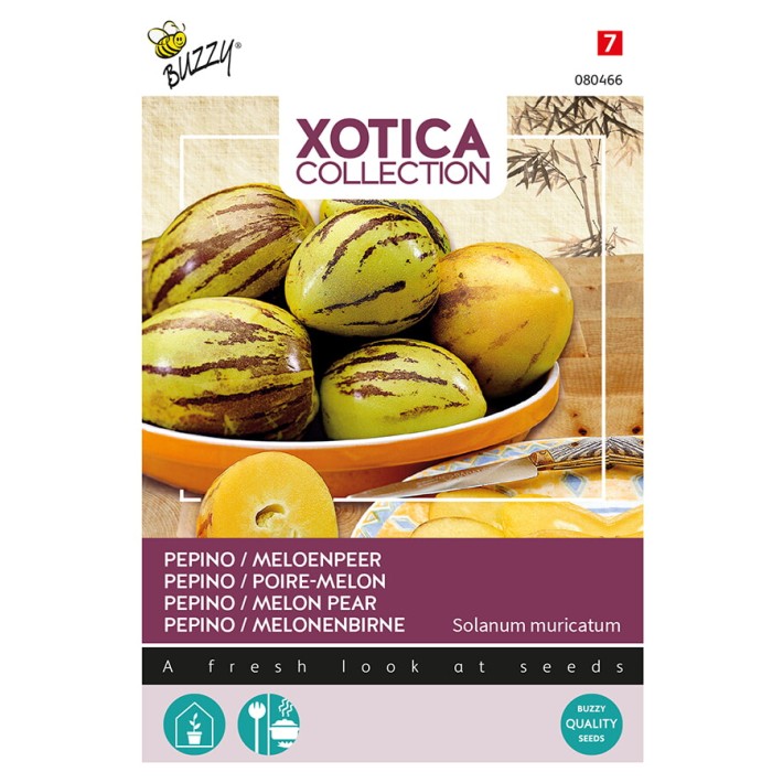Buzzy® Xotica Pepino, Poire-melon