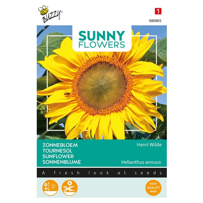 Buzzy® Sunny Flowers, Sunflower Henry Wilde
