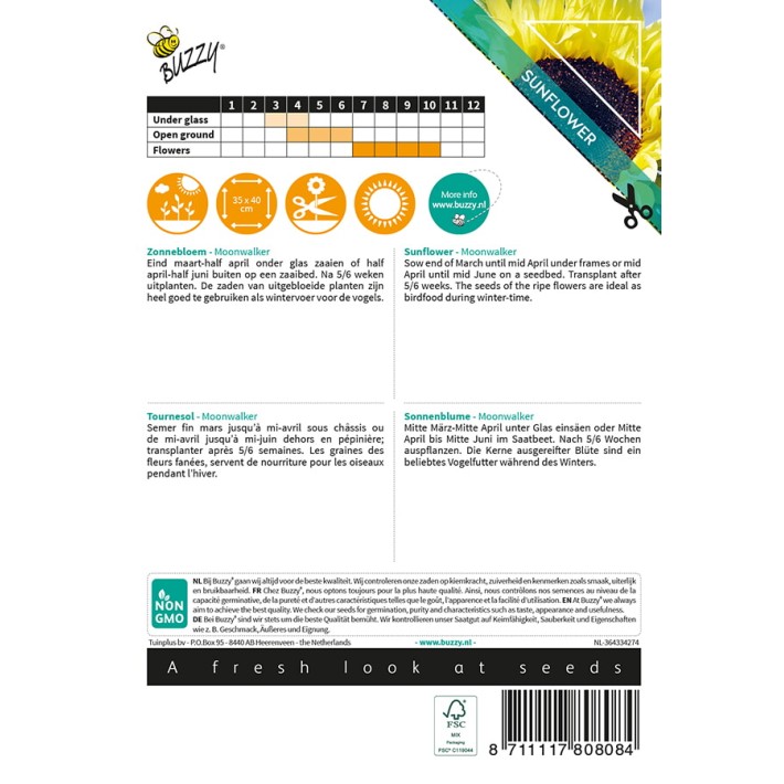Buzzy® Sunny Flowers, Sunflower Moonwalker