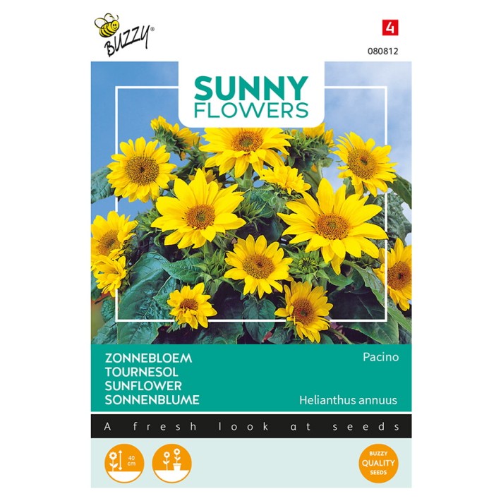 Buzzy® Sunny Flowers, Sunflower Pacino