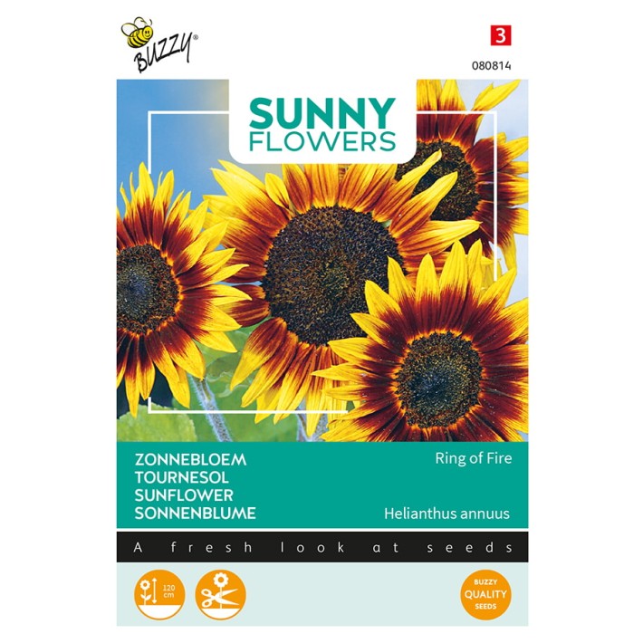 Buzzy® Sunny Flowers, Sunflower Ring of Fire