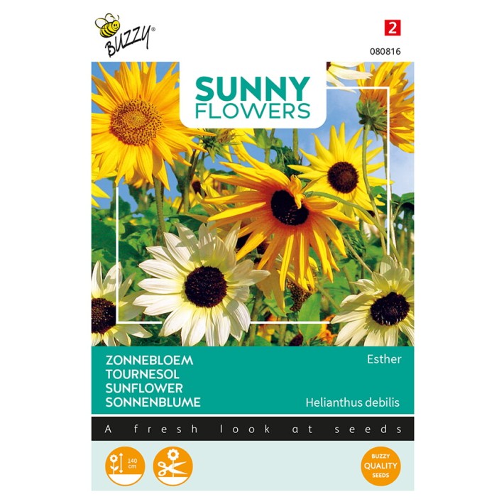 Buzzy® Sunny Flowers, Sunflower Esther