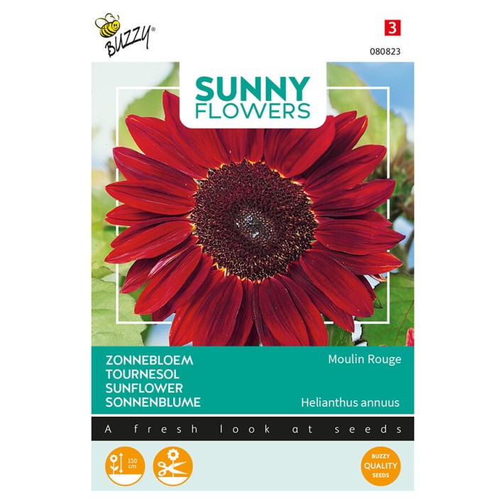 Buzzy® Sunny Flowers, Sunflower Moulin Rouge