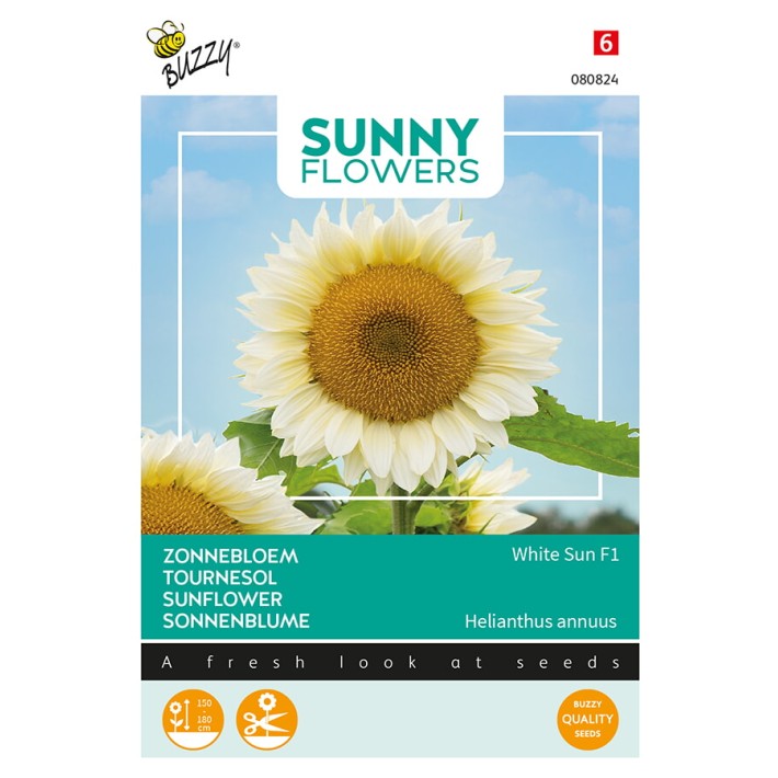 Buzzy® Sunny Flowers, Sunflower White Sun F1