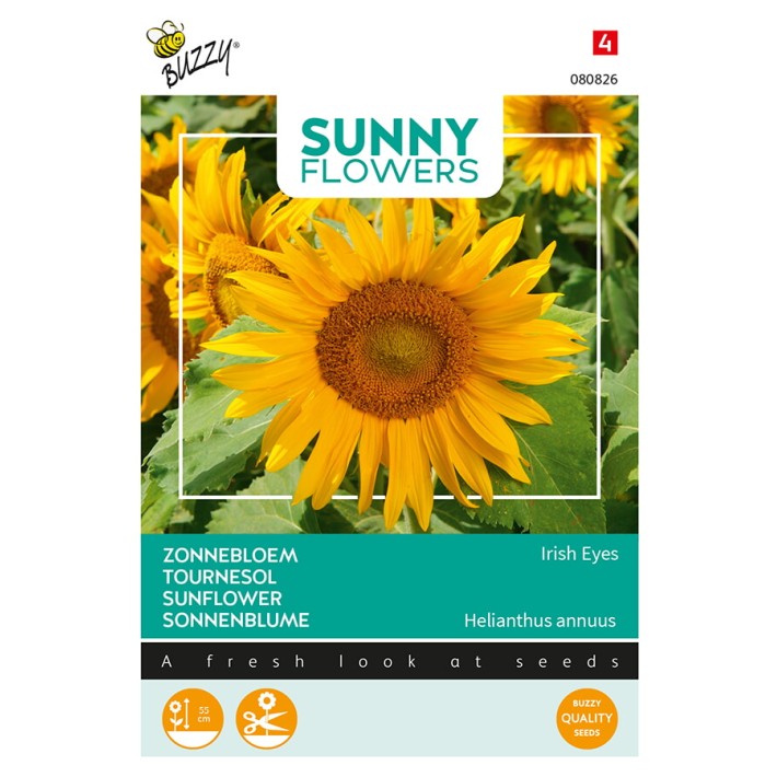 Buzzy® Sunny Flowers, Sunflower Irish Eyes