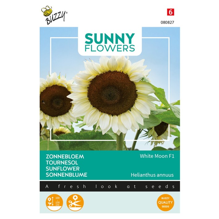 Buzzy® Sunny Flowers, Tournesol White Moon F1