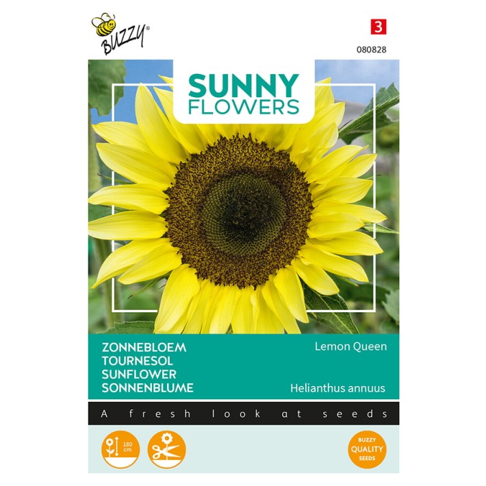 Buzzy® Sunny Flowers, Tournesol Lemon Queen