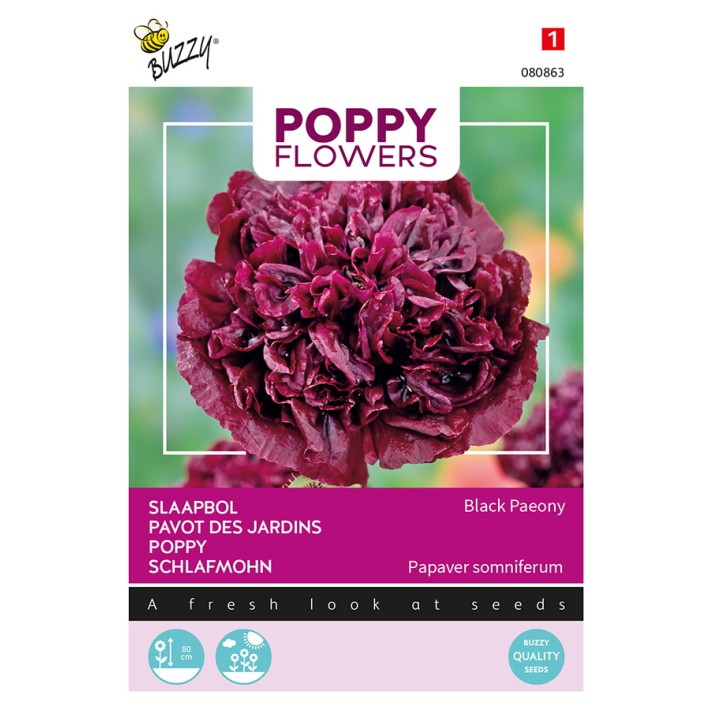 Buzzy® Poppy Flowers, Pavot Black Paeony