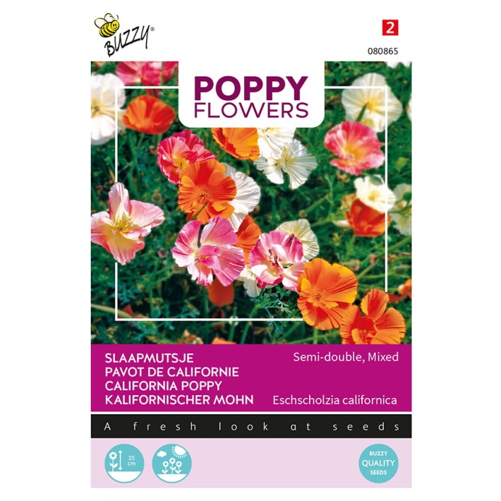 Buzzy® Poppy Flowers, Pavot de Californie