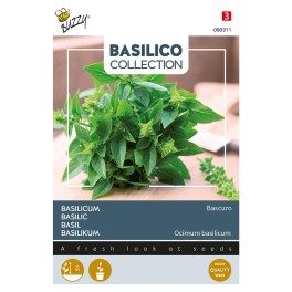 Basilicum Bascuro