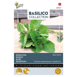 Basilicum Blue Spice