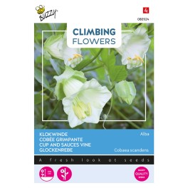 Climbing Flowers Cobaea, Klokwinde Alba Wit