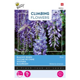 Climbing Flowers Wisteria, Blauwe regen