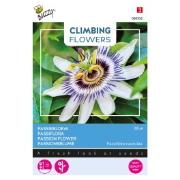 Climbing Flowers Passiflora blauw