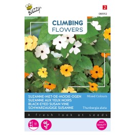 Climbing Flowers Thunbergia, Suzanne-met-mooie-ogen