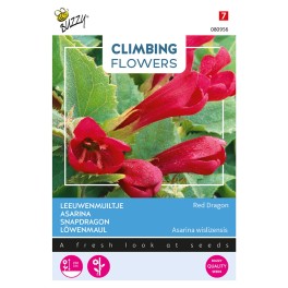 Climbing Flowers Asarina, Leeuwenmuiltje Red Dragon