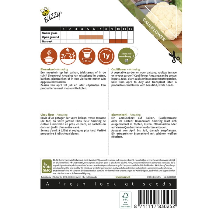 Buzzy® Patio Veggies, Chou fleur Amazing