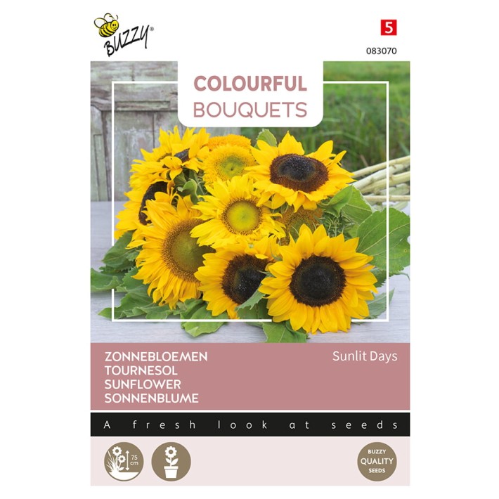 Buzzy® Colourful Bouquets, Sunlit Days, Tournesol