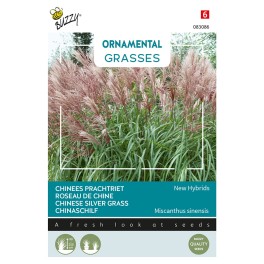 Grasses, Chinees prachtriet 'New Hybrids'