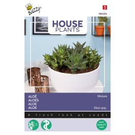 Kamerplant Aloë gemengde soorten