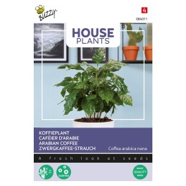 Kamerplant Coffea Arabica, Koffieplant