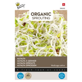 Organic Sprouting Alfalfa