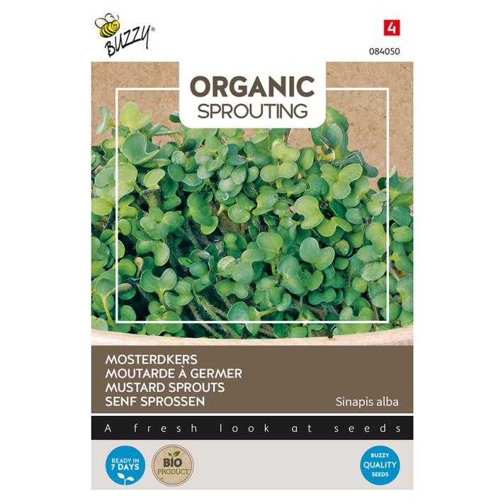 Buzzy® Organic Sprouting de Moutarde (BIO)