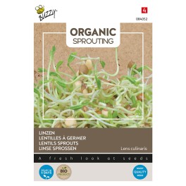 Organic  Sprouting Linzen - spruitgroente