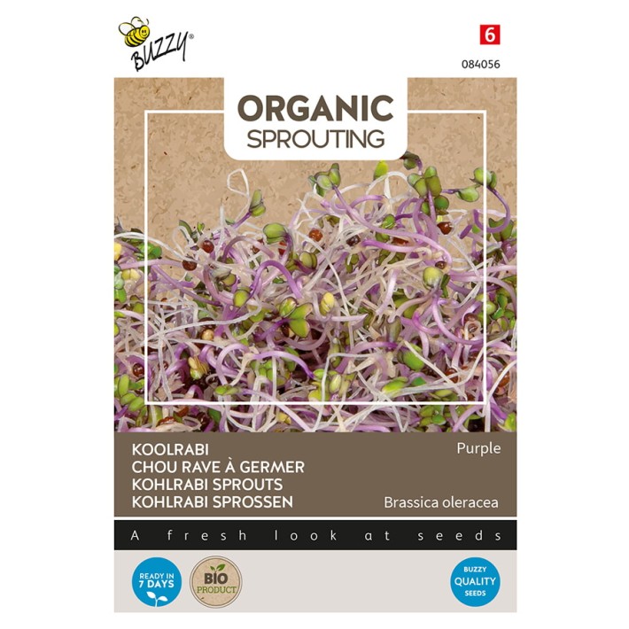 Buzzy® Organic Sprouting Chou rave violet (BIO)