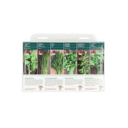 Buzzy® Collection 6 populair culinary herbs