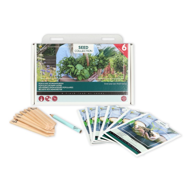 Buzzy® Collection 6 populair culinary herbs