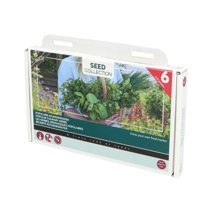 Buzzy® Collection 6 populair culinary herbs