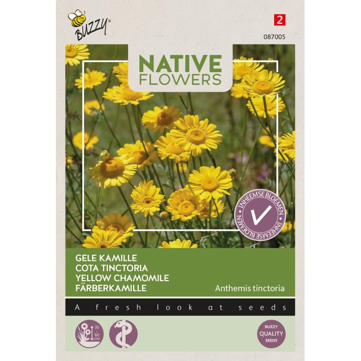 Buzzy® Native Flowers, Camomille