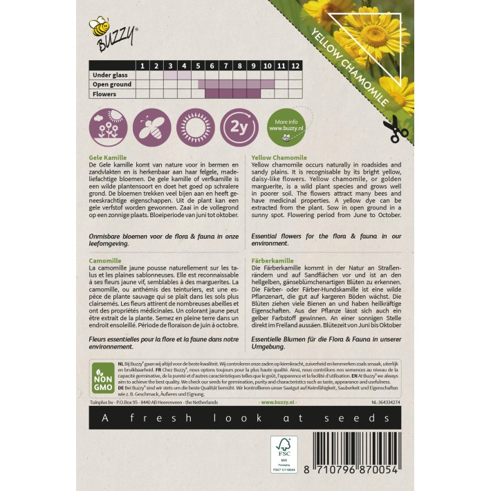 Buzzy® Native Flowers, Camomille