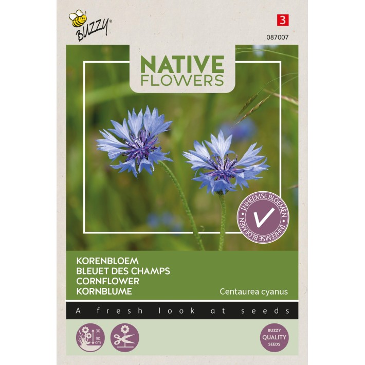 Buzzy® Native Flowers, Bleuet