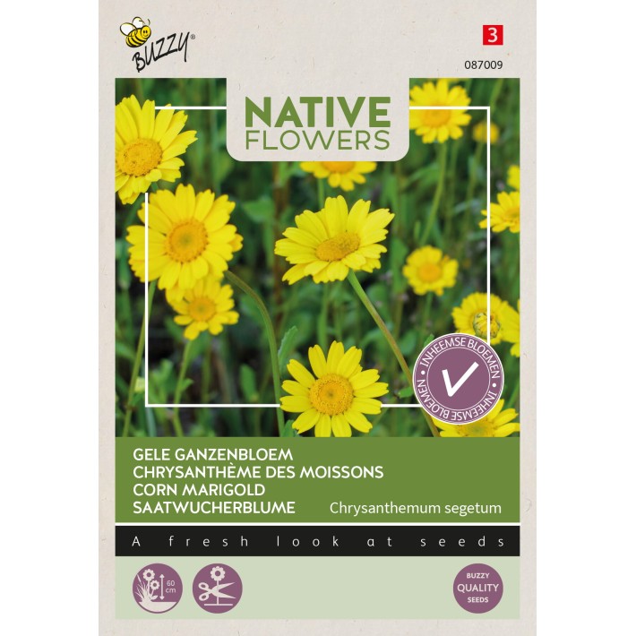 Buzzy® Native Flowers, Chrysanthème
