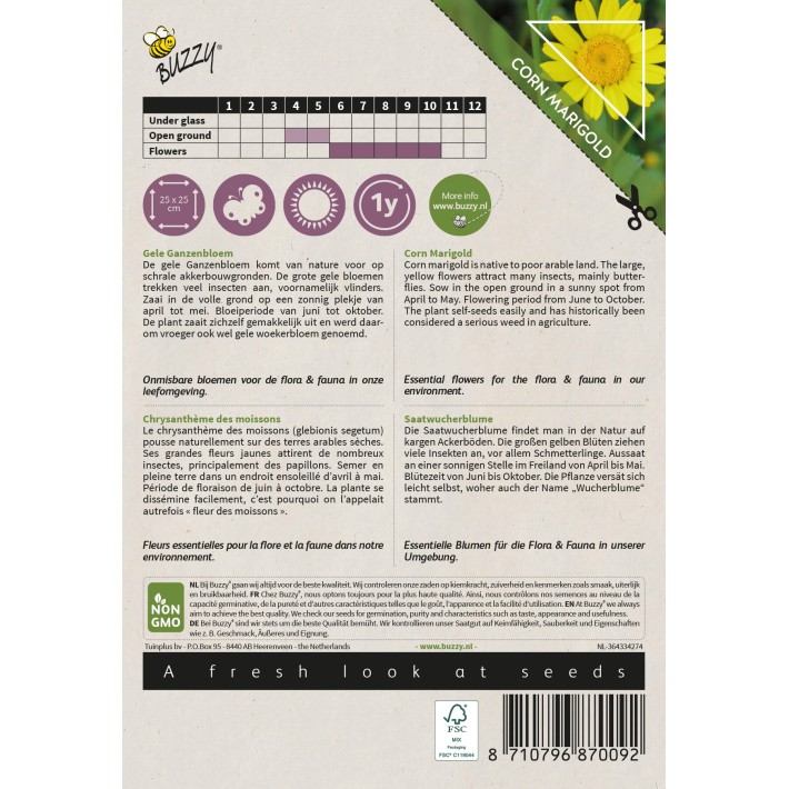 Buzzy® Native Flowers, Chrysanthème