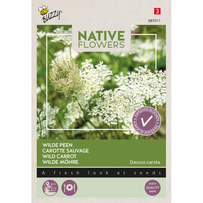Buzzy® Native Flowers, Carotte sauvage