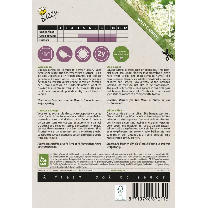 Buzzy® Native Flowers, Carotte sauvage