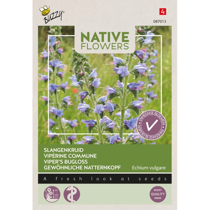 Buzzy® Native Flowers, Vipérine commune