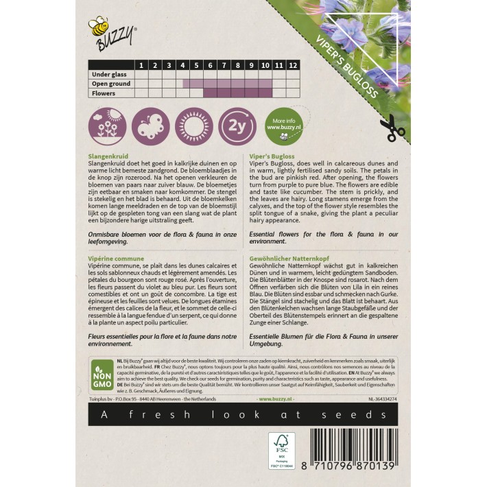 Buzzy® Native Flowers, Vipérine commune