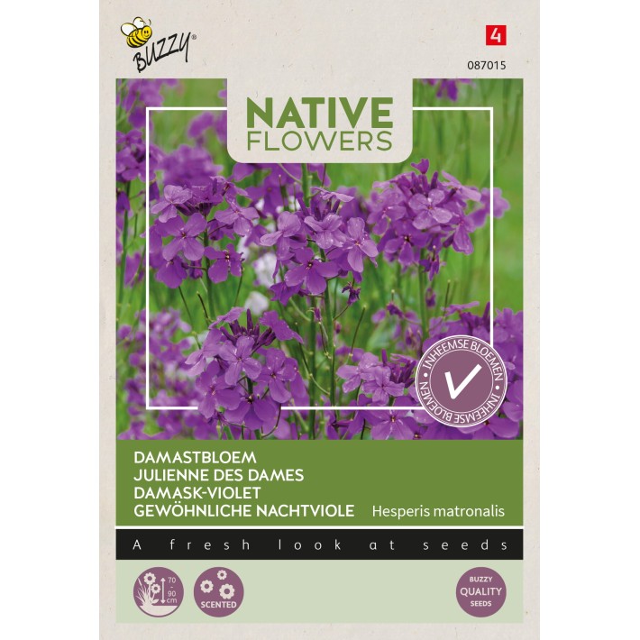 Buzzy® Native Flowers, Julienne des dames