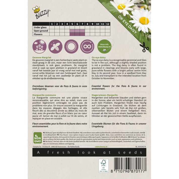 Buzzy® Native Flowers, Ox-eye daisy