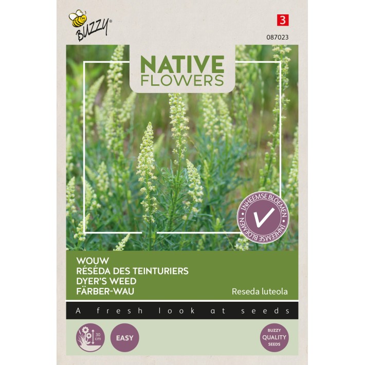 Buzzy® Native Flowers, Dyer’s Weed