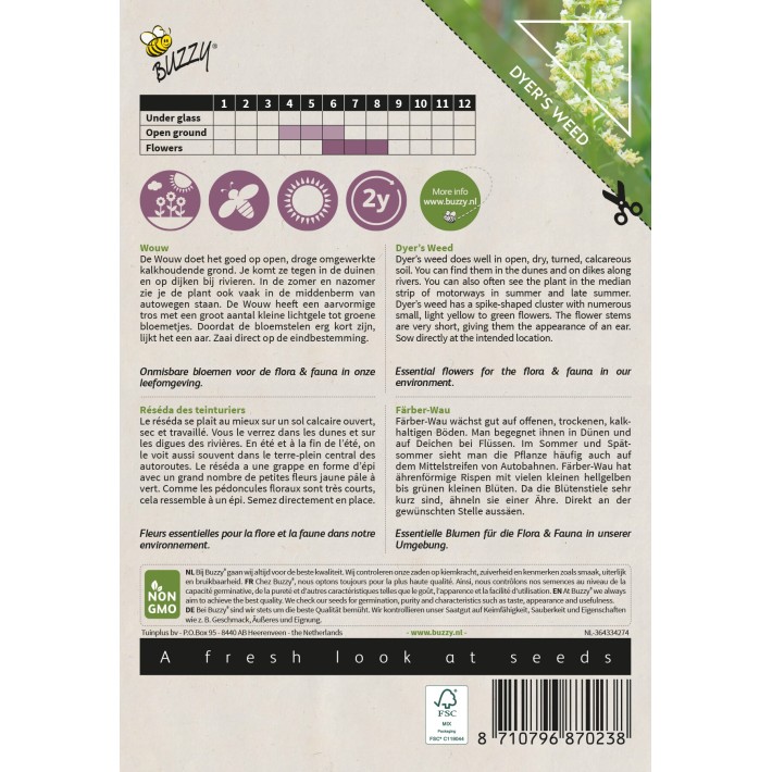 Buzzy® Native Flowers, Dyer’s Weed