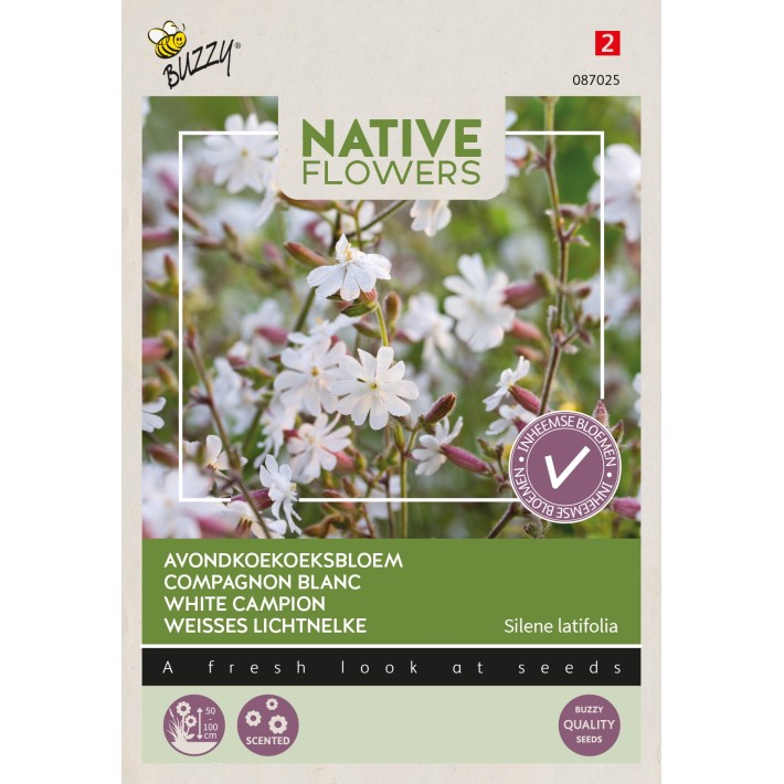 Buzzy® Native Flowers, Compagnon blanc
