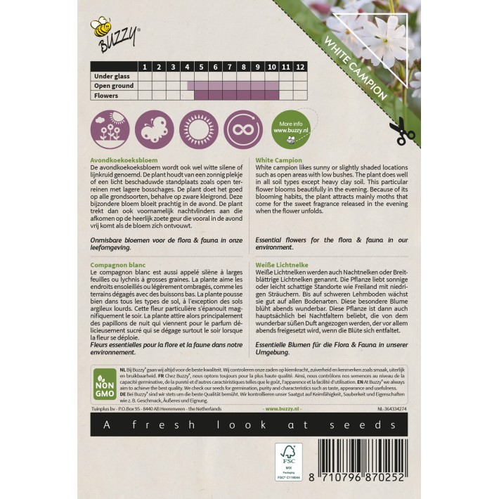 Buzzy® Native Flowers, Compagnon blanc