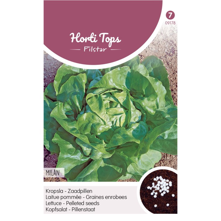 Pilstar Lettuce Pelleted seeds